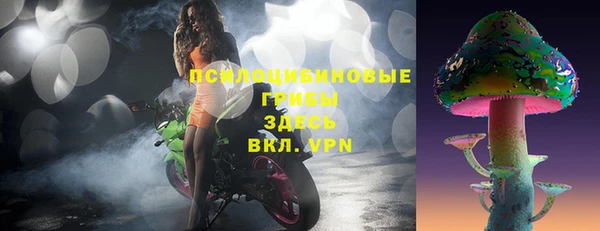 винт Армянск