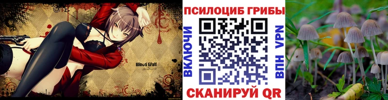 Псилоцибиновые грибы прущие грибы Петушки
