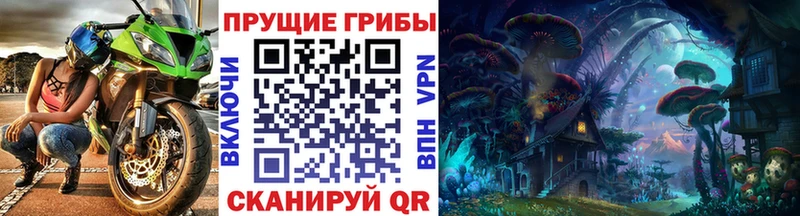блэк спрут ТОР  Петушки  Галлюциногенные грибы ЛСД  где купить наркоту 